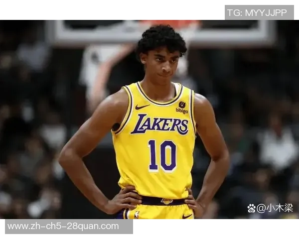 湖人对热火比赛中的关键判罚分析与争议解读